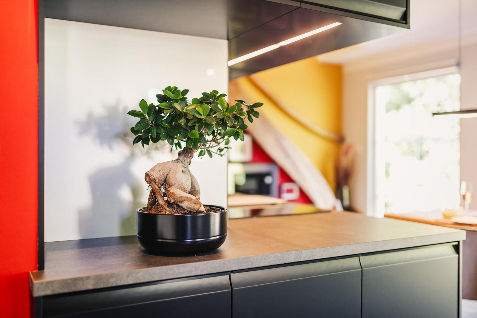 Ferienwohnung "Steernkieker" - Ankommen Und Entspannen Klausdorf  Exterior photo
